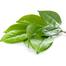 Dove Go Fresh Apple and White Tea Scent 48H Roll On 50 ml (UAE) - 139701579 image