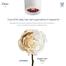 Dove Intensive Repair Shampoo 250 ml image
