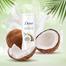 Dove W. Coconut Oil and A. Milk / Rest. Care Body Lotion 400 ml (UAE) - 139701025 image