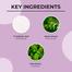 Dr. Sheth's Neem and Salicylic Acid Face Wash - 100g -334989350 image