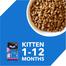 Drools Kitten Dry Cat Food Ocean Fish Flavour 3kg 1kg Free Inside image