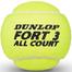 Dunlop Tennis Ball Fort All Court 1 Can image