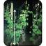 Dwarf Beans Seeds Re-Pack F1 Hybrid 25pcs image