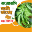 Dwarf Beans Seeds Re-Pack F1 Hybrid 25pcs image