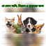 E-Vet Plus® Pet For Any Pet And Bird - 20ml image