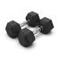 Ex Dumbbell 10 kg-1pair image