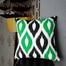 Exclusive Cushion Cover Green And Black 14x14 Inch image