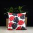 Exclusive Cushion Cover, Red And Black, 16x16 Inch image