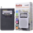FM/AM R-69BT 2 Band Radio With USB, TF And BT Music Player image