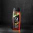 Fa Men Amazonia Spirit Shower Gel 250 ml (UAE) image