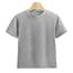 Fabrilife Kids Premium Blank T-Shirt - Silver image