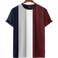 Fabrilife Mens Premium Designer Edition T Shirt- Maroon image