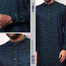 Fabrilife Premium Jacquard Panjabi - Shaqawa image