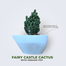 Brikkho Hat Fairy Castle Cactus with Special Ceramic Tub image