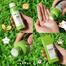 Fenyi Green Tea Lotion for Oil Control - 100ml image