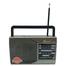 Fepe FP-1972BT AM/FM/SW 3-Bands Radio with USB/TF Card Music Player image