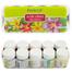 Fevicryl Acrylic Color- Sunflower Kit - 150 ml (15ml bottles of 10 shades) image