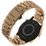 Fire-Boltt Talk 2 Pro Ultra Luxury Stainless Steel Smartwatch image