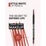 Flormar Style Matic Lipliner SL01 Rosewood image