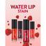 Flormar Water Lip Stain 001 Infinite Pink image