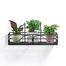 Flower Pot Hanger 36/8 Inch image