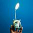 Foldable LED Study Lamp for Kids With Pen Holder and Built-in Sharpener (Multicolor) image