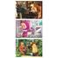 Frank Masha And Bear - 3 In 1 Puzzles image