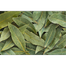 Fresh Garden Bay Leaf 100 gm image