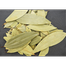 Fresh Garden Bay Leaf 50 Gm image