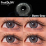 Freshlady Dawn Gray Color Contact Lenses image