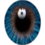 Freshlook True Sapphire Color Contact Lens image