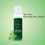 Freyia'S Tea Tree Daily Use Foaming Face Wash image