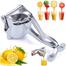 Fruit Press Stainless Steel Manual Hand Juicer image