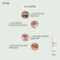 GFORS Anti Wrinkle Eye Treatment (Roll On) 20ml image