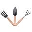 Garden Tools (3 Pcs Mini Set-one shovel, one trident fork, one rake) image