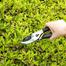 Deli Gardening Shears 8Inch 200mm HD -60 image