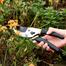 Deli Gardening Shears 8Inch 200mm HD -60 image