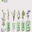 Garnier Purifying Thyme Perfecting Toner 150 ml (UAE) - 139701142 image