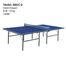 Giant Gragon Table Tennis Board image