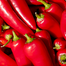 Giant Red Banana Chili Seeds (Re-Pack) image