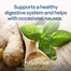 Ginger Root by Puritan’s Pride Supports Digestive Health 550 mg 200 Capsules image