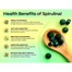 Gnc SuperFoods Spirulina Whole Plant Powder Capsules – 100 Capsules image