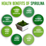Gnc SuperFoods Spirulina Whole Plant Powder Capsules – 100 Capsules image