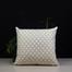 Gold Sparkle, Afsan Printed, Premium Cushion Cover, Gold And White 16x20 Inch image