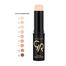 Golden Rose Stick Foundation image