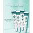 Gongskin Tea Tree B5 Spot Cream 30ml | Korea image