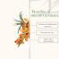 Good Vibes Sea Buckthorn Nourishing Facial Oil – 10ml image