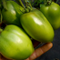 Green Emerald Saint Tomato Seeds Re-Pack - 0.1gm image