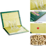 Green Killer Rat and Glue Mouse Catcher Trap image