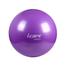 Gym Ball With Pumper image